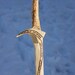 Orcrist Wooden Sword Dawarf Thorin Oakenshield Hobbit Movie Prop Lord of the Rings Fan Gift