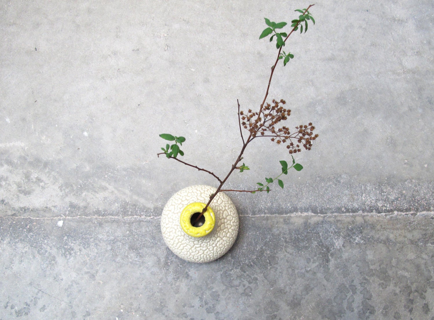 The Yellow Top Vase