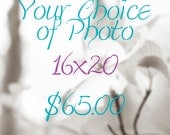 Your Choice of Photo in 16x20