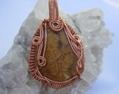 Fossilized Coral Pendant / Wire Wrap / Copper Necklace / Ocean jewelry / Fossil / Art Jewelry