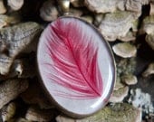 real feather resin necklace red Feather pendant. white cream paper. set in silver bird flight air woodlands