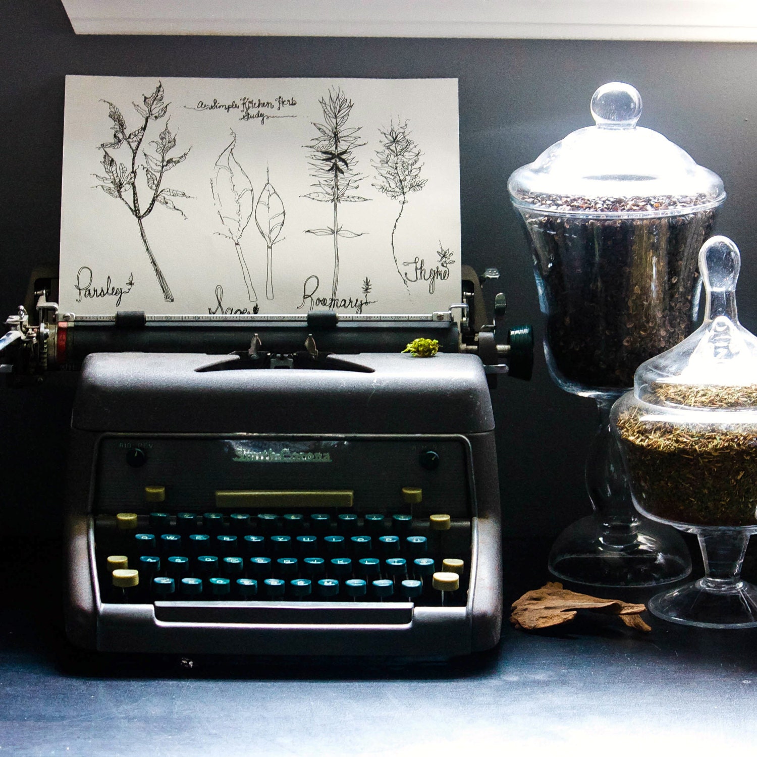 herb garden original black and white ink drawing. floral. botanical. detailed. study. typewriter. library. mysterious. secret garden - StudioBotanica