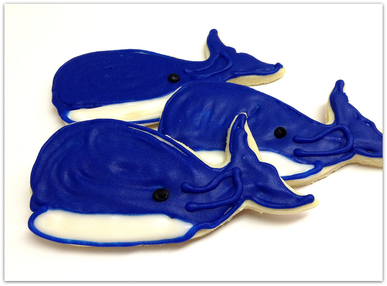 Blue Whale Sugar Cookie Iced Decorated Cookie Ocean Beach Theme