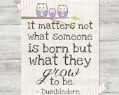 Harry Potter Dumbledore quote poster print  8x10 It matters not what someone is born but what they grow to be