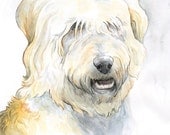 Watercolor Pet Portrait - Custom 11x14