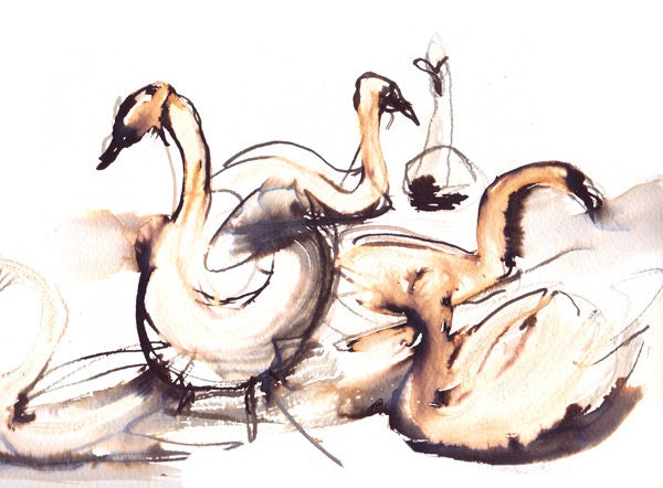 swans original ink bleach and watercolour drawing