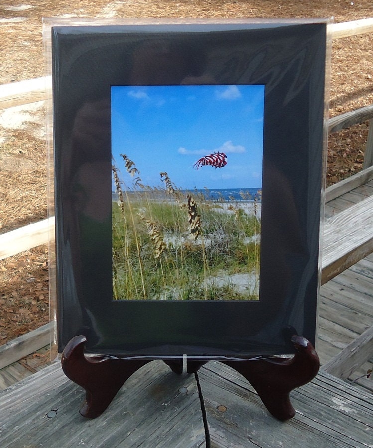 Weed Kite Flying,  Dune on the Beach, Ocean Photography