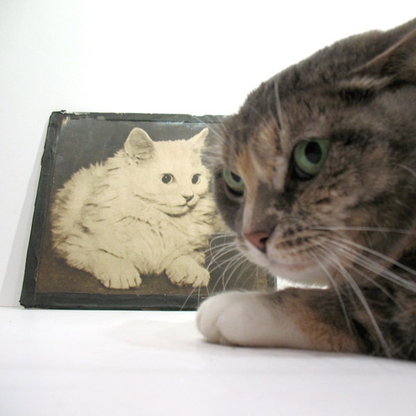 Vintage Cat Picture - Primitive Home Made Frame - Folk Art - Circa 1920 - Wall Hanging