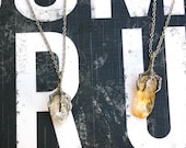 the crystal claw necklace