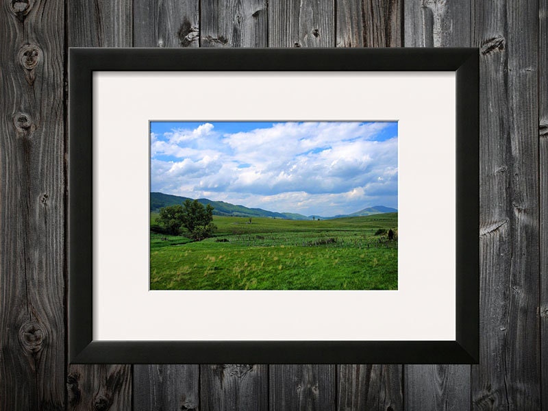 Greener Side - 8x12 Photo Print Country Mountain Landscape Scene - Fine Art Photograph - Spring / Summer Photography - Allegheny Highlands
