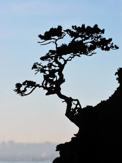 Tree on a Rock Handmade Original Papercut Gift: Hand-Cut Paper Art Silhouette (UNFRAMED)