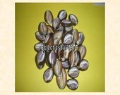 Tiger Shells Brown Cowrie Shells (20)