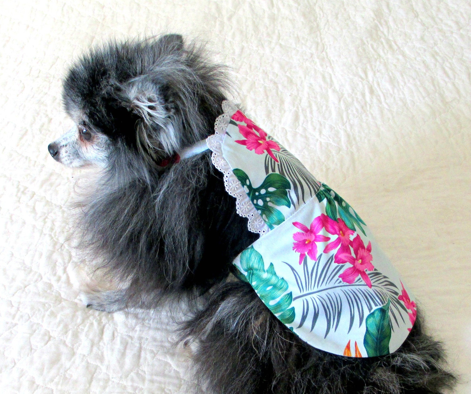 Sundress for Dogs Pomeranian-Size - Cotton with White, Teal, Hot Pink and Gold Hawaiian Print/Eyelet Trim