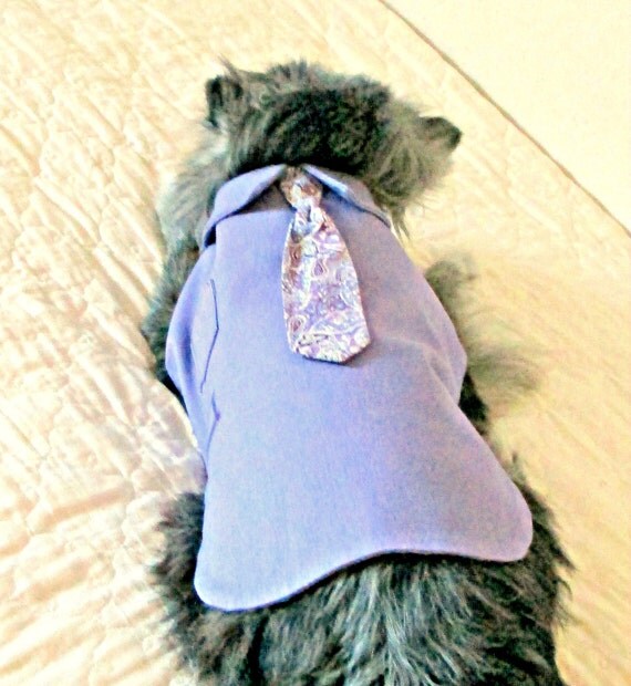 Small Dog's "Executive" Lavender Dress Shirt & Paisley Tie Made to Order Stretch Cotton Yorkie