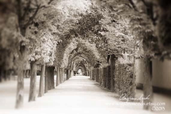 Schönbrunn Palace garden photo, Vienna, Austria, Wien, Baroque, landscape gardens, Nature, Sepia, Travel photo,  Europe, 8x12, Home decor