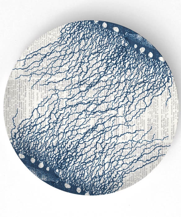 jellyfish - blue jellyfish with vintage dictionary background -  on 10 inch Melamine Plate