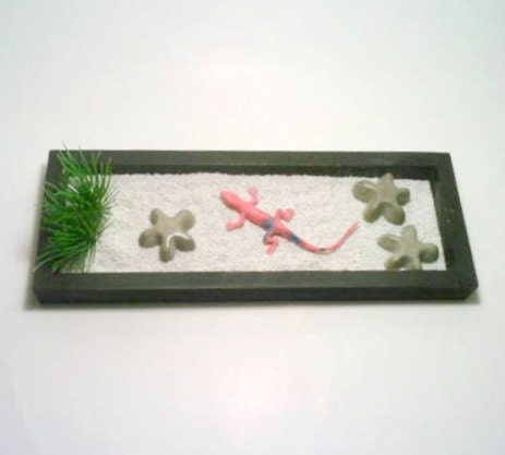 Zen Garden, Lizard, Flowers, Stars, Concrete, Desert Garden, Calcium Sand