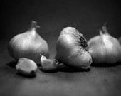 Kitchen Art Photography Black and White Garlic Cloves Fine Art Print Kitchen Decor 8x12 Print "Garlic in B&W"