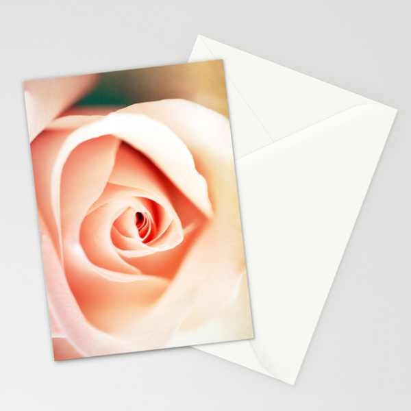 Fine Art Photography 5x7 Folded Cards Set of 3 Rose Pink Flower "Token of Love"