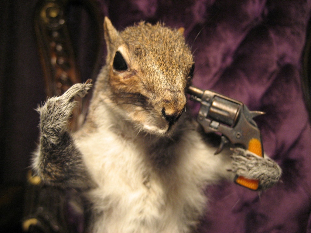 Taxidermy Suicide FTW Squirrel Shooting Itself