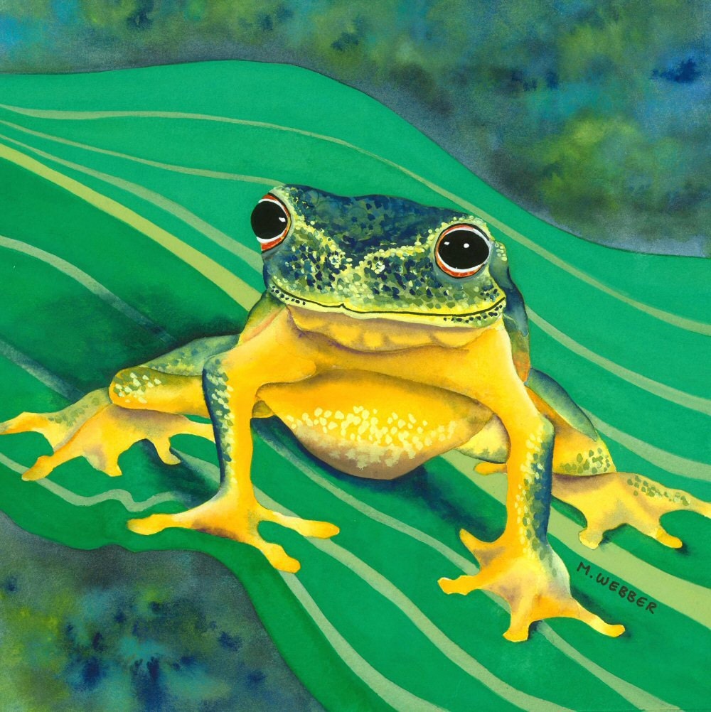 Tree Frog Green and Yellow Amphibian Limited Edition Print Watercolour Painting
