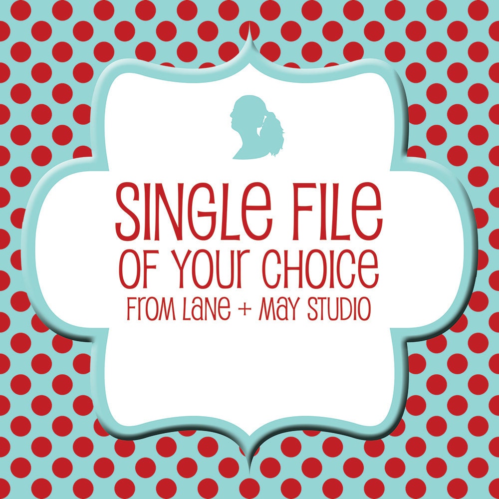 single digital file of your choice