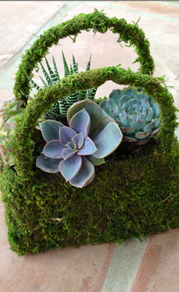 Succulent Moss Purse - Makes Great Housewarming Gift Birthday Gift