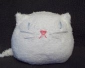 small white  kitten