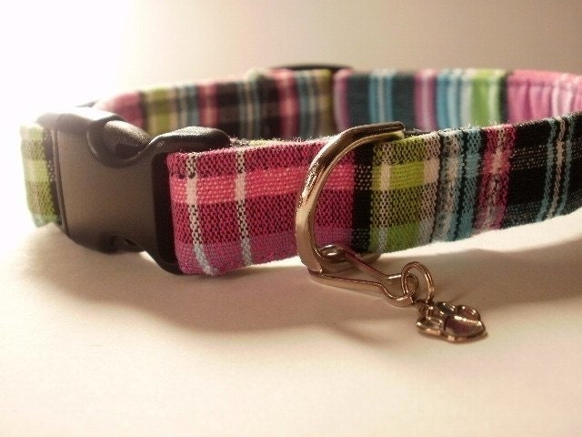 Bright Pink Blue Black and Green small dog collar