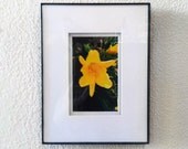Digital Photo - "Close up"