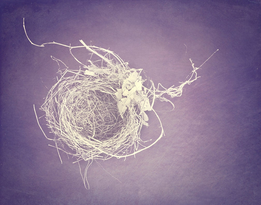 Nest Photograph - Printable Art Print - Download - Fine Art Photography - Home Decor - Cardmaking - 11x14
