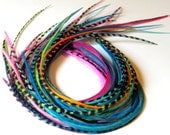 Hair Feathers Extensions Beautiful Color Variety