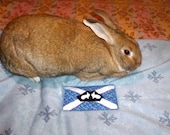 giant pet mat bed for bunny rabbits Scottish heritage blue cotton