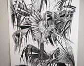 Parrots & Jungle hand drawn ink illustration