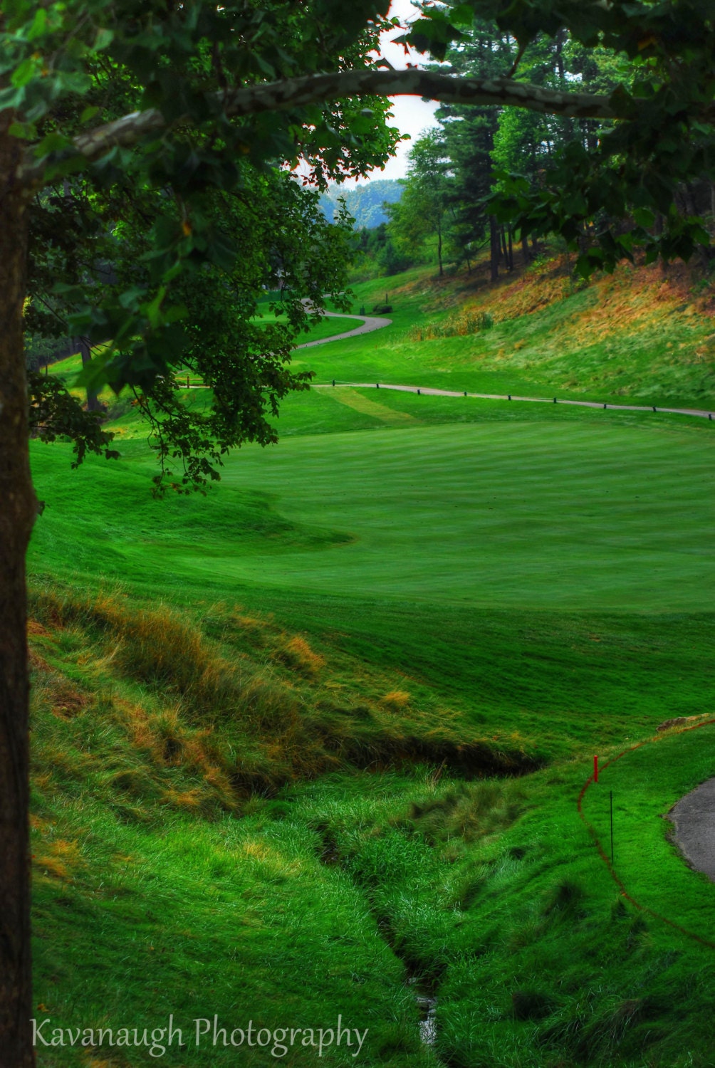 Golf Course Photograph