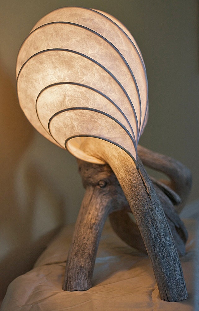 Custom Lamp: Elegant and Rustic Lightsculpture (lamp) with Driftwood base