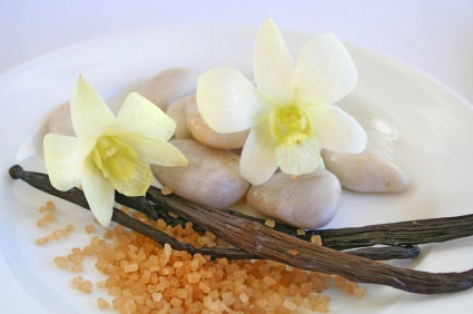 1/2oz Natural Vanilla Fragrance Oil, Vanilla Perfume Oil, Vanilla Scent
