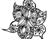 Black and White Art Pen and Ink Flower Design Illustration Signed 5 x 7 Print Home Decor Design Drawing