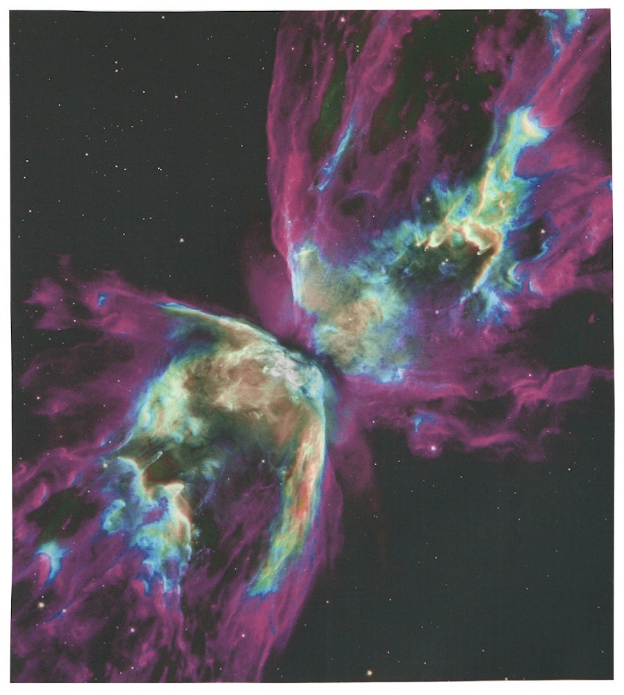 Butterfly Nebula 16 x 18 inches on Cotton Poplin Fabric