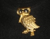 Goldtone Owl Brooch with Rhinestone Eyes