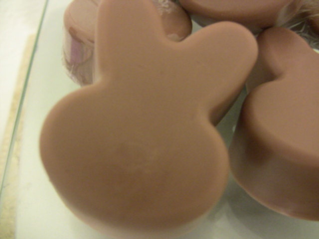 Easter Special: Detergent Free Chocolate Bunny Soaps-Set of 6