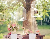 5 Hanging Wooden Bird Cage for weddings