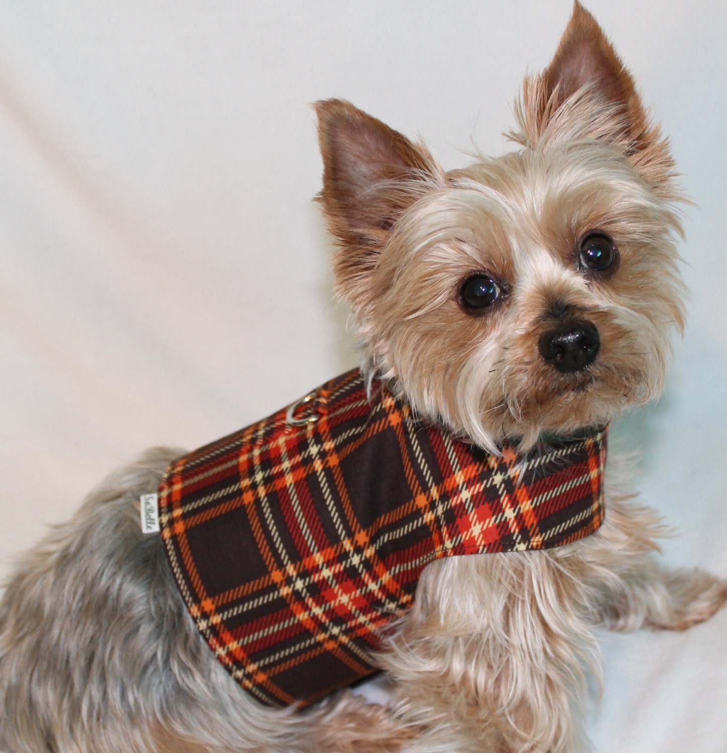 SMALL Brown Plaid Dog Harness