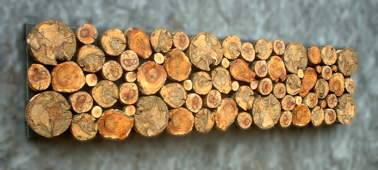 12x48 Spalted Rustic Tree Branch Wall Art Tribal Spalted Maple Spalted Aspen Burl Wall Sculpture