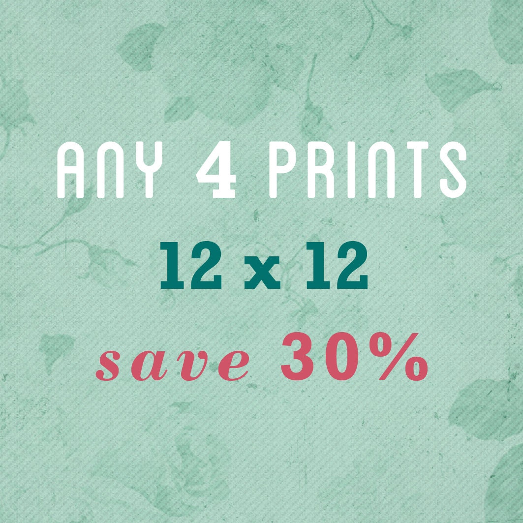 SALE - Any FOUR 12x12 30X30cm Prints save 30 percent
