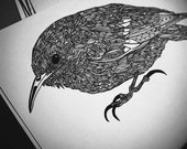 Treecreeper (A3)