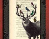 Deer with birds, deer head surrounded by birds art print, stag decor and housewares, bird home and living, animal wall decor