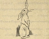 Cute Bunny Rabbit Digital Image Download Collage Sheet Easter Spring Printable Graphic for Transfers etc HQ 300dpi No.2848