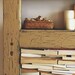 Door Bookshelf: Distressed Painted Door