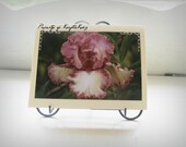 Photo Card Purple Iris